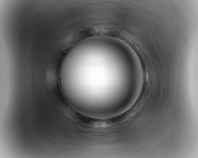 X0000099990751200805231452
