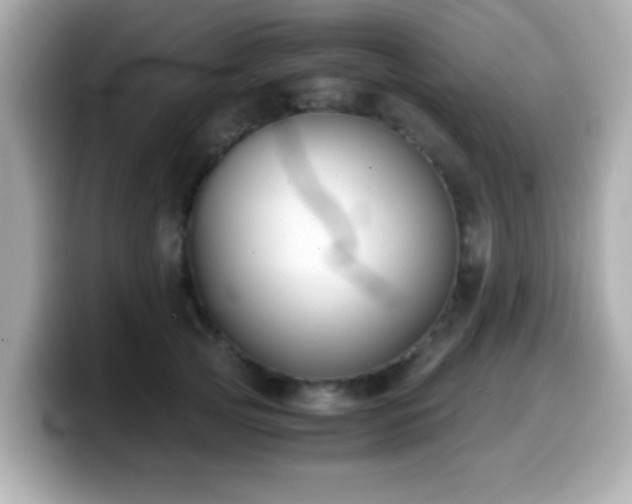X0000099990753200805231452