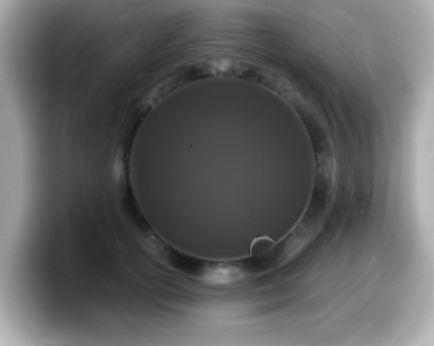 X0000099990754200805231452