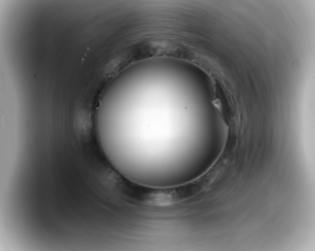 X0000099990756200805231452
