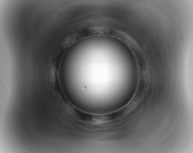 X0000099990757200805231452