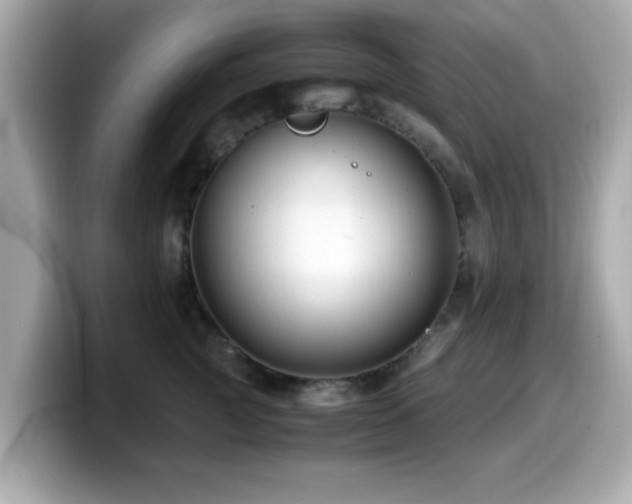 X0000099990761200805231452