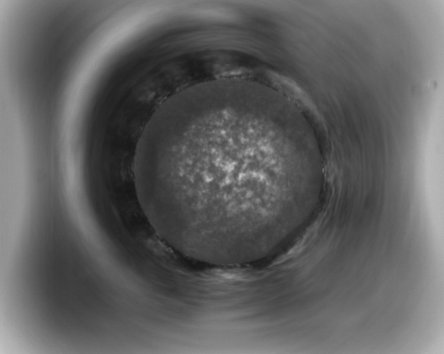 X0000099990763200805231452