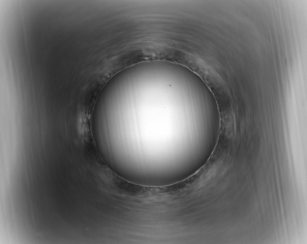 X0000099990770200805231452