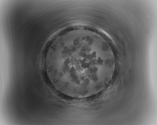 X0000099990775200805231452