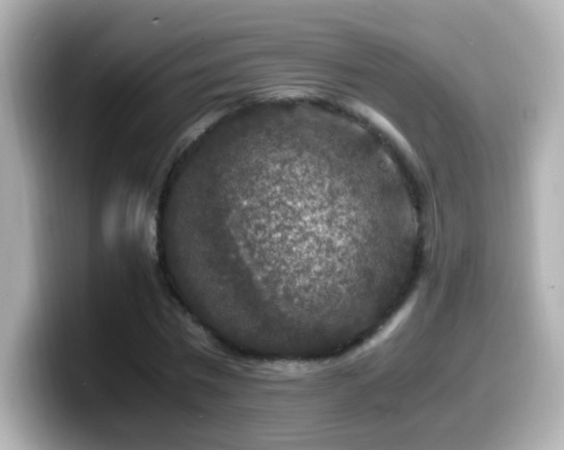 X0000099990777200805231452