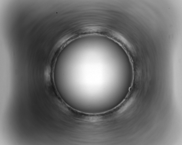 X0000099990778200805231452