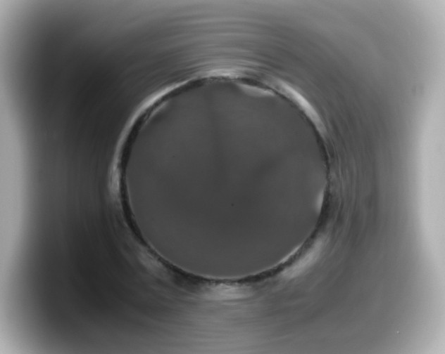 X0000099990779200805231452