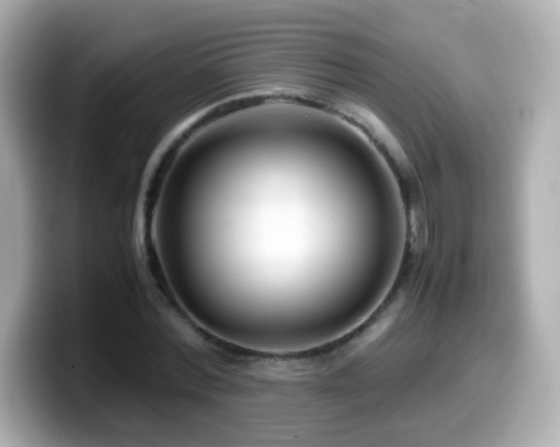 X0000099990780200805231452