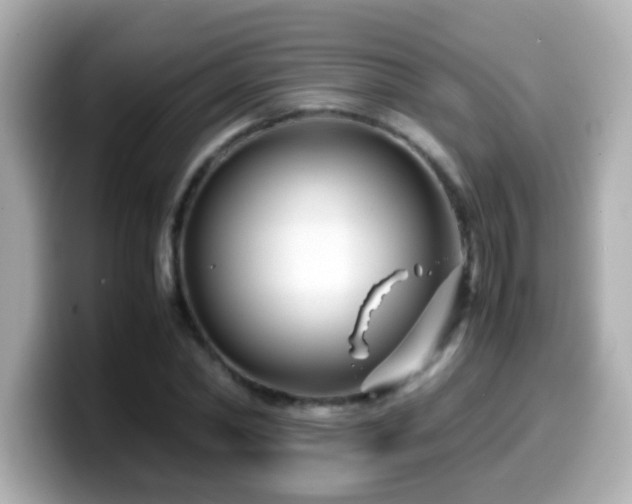 X0000099990782200805231452