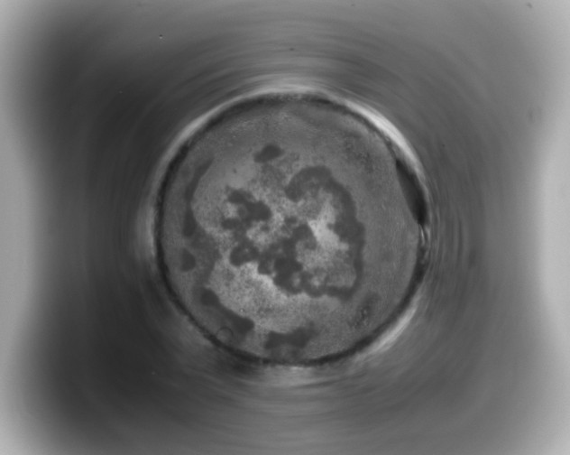 X0000099990783200805231452