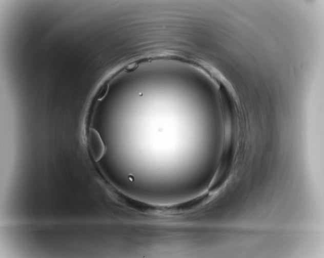 X0000099990789200805231452