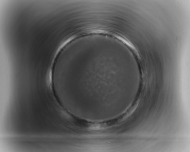 X0000099990790200805231452