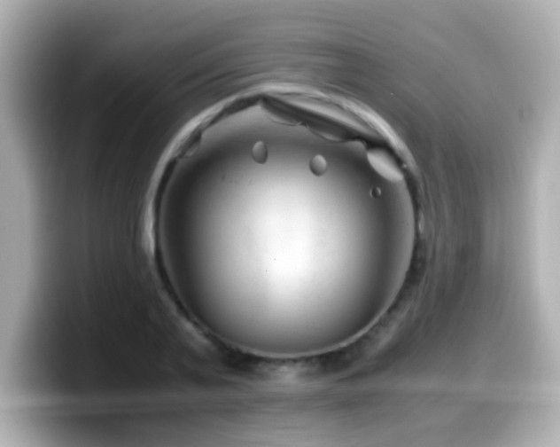 X0000099990791200805231452
