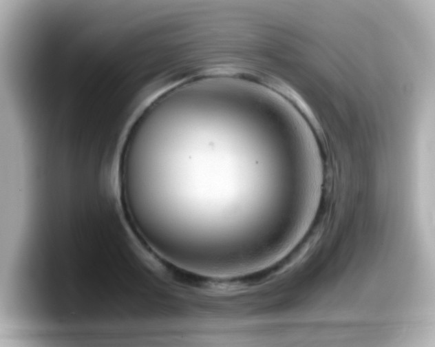 X0000099990795200805231451