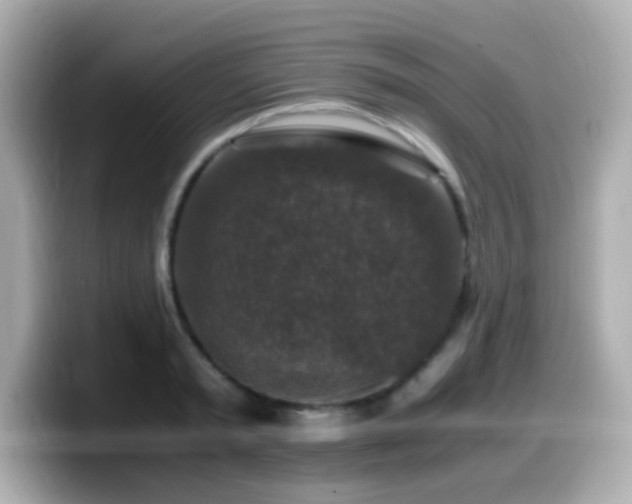 X0000099990797200805231451