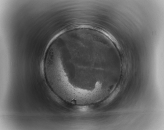 X0000099990798200805231451