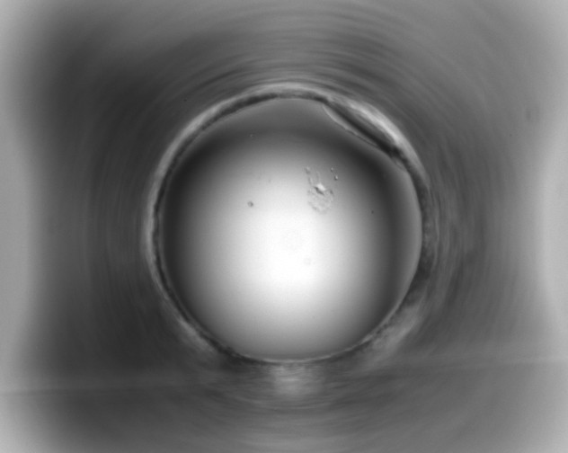X0000099990799200805231451