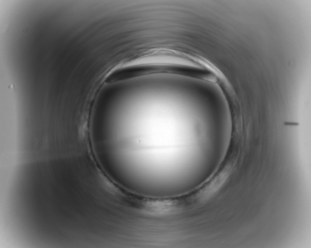 X0000099990801200805231451