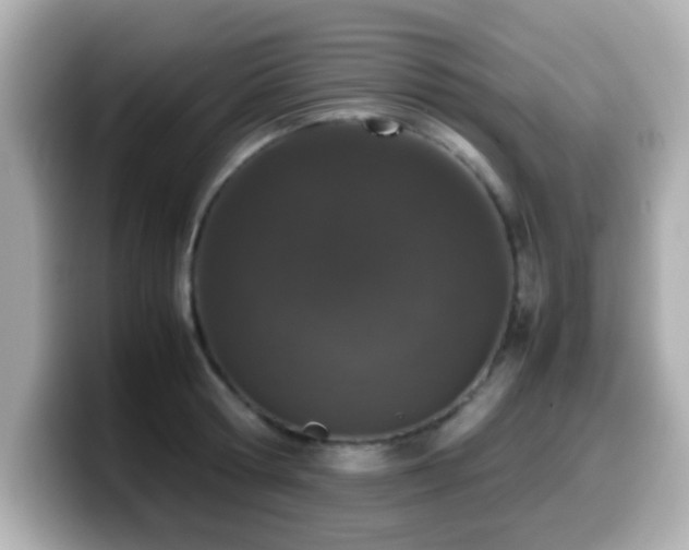 X0000099990802200805231451
