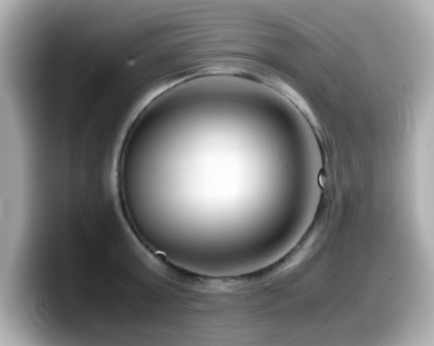 X0000099990803200805231451