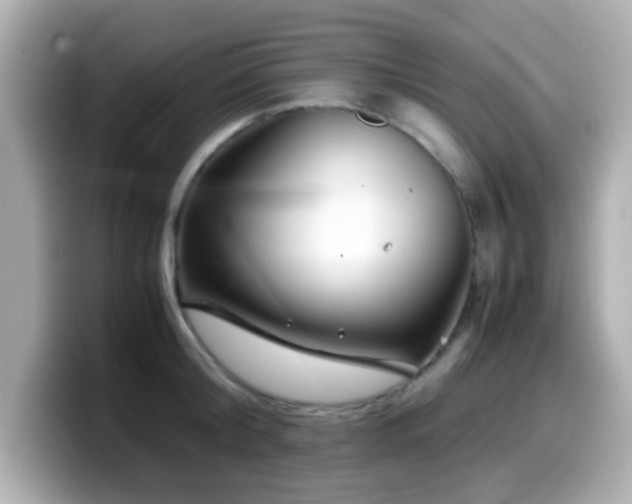 X0000099990804200805231451