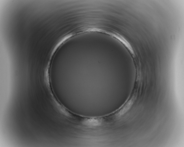 X0000099990806200805231451