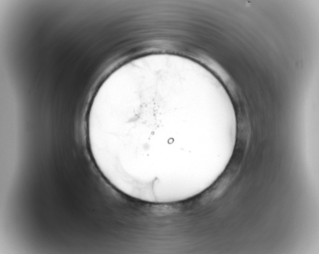 X0000099990807200805231451