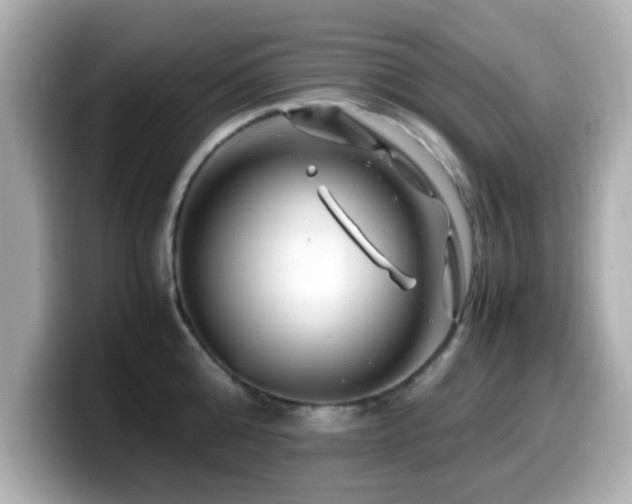 X0000099990808200805231451