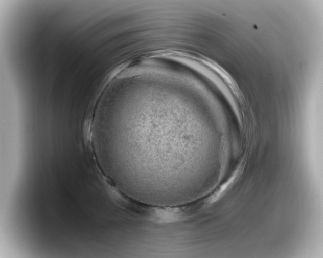 X0000099990809200805231451