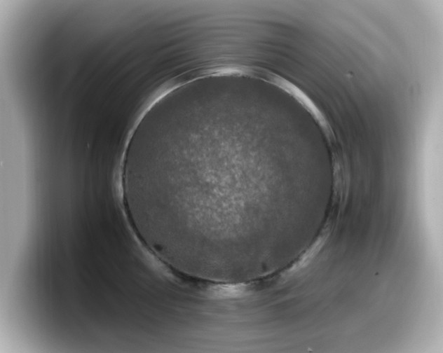 X0000099990810200805231451