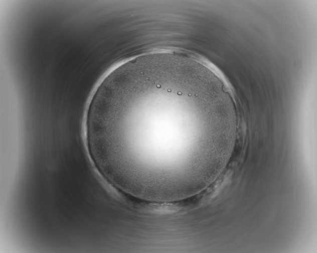 X0000099990811200805231451
