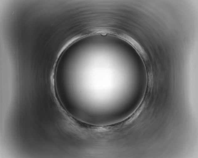 X0000099990814200805231451