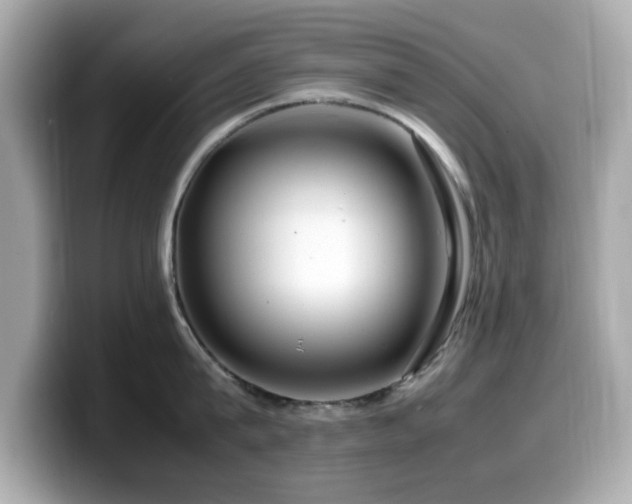 X0000099990815200805231451