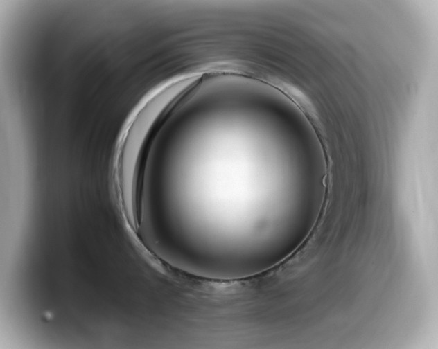 X0000099990816200805231451
