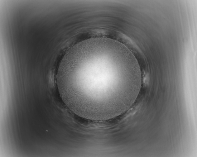 X0000099990819200805231451
