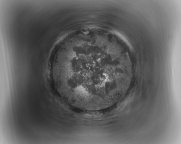 X0000099990823200805231451