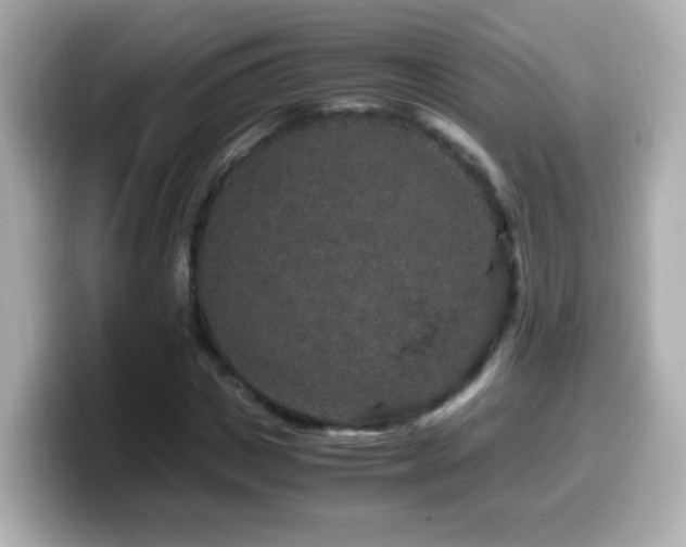 X0000099990825200805231451