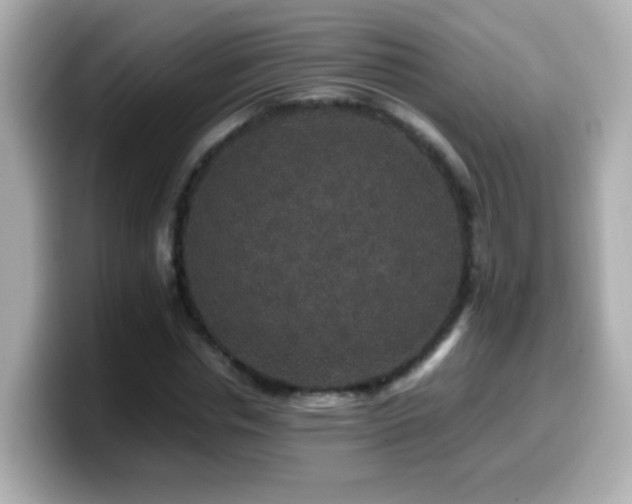 X0000099990826200805231451