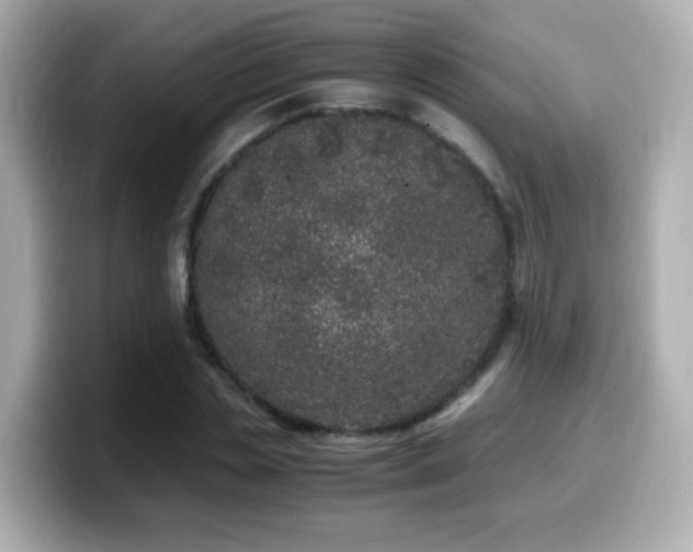 X0000099990829200805231451