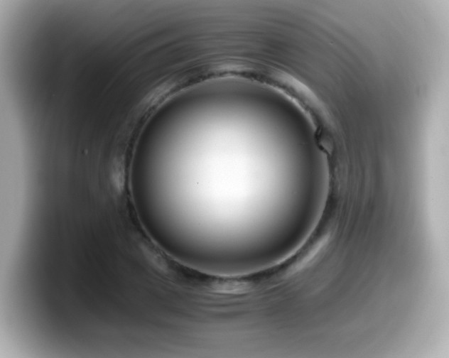 X0000099990833200805231451