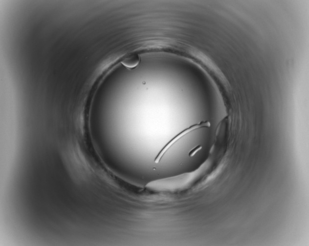 X0000099990834200805231451