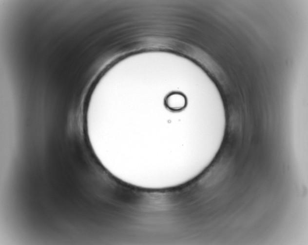 X0000099990836200805231451