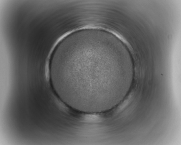 X0000099990838200805231451