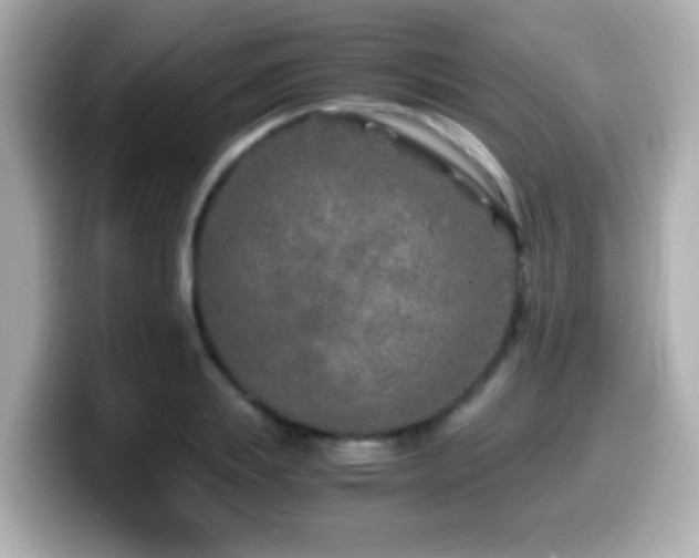 X0000099990839200805231451