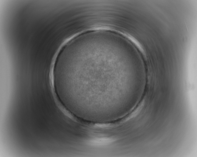 X0000099990840200805231451