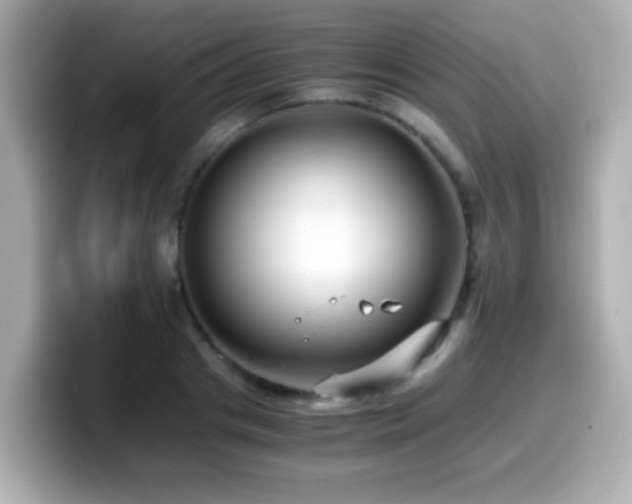 X0000099990841200805231451