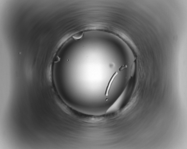 X0000099990842200805231451