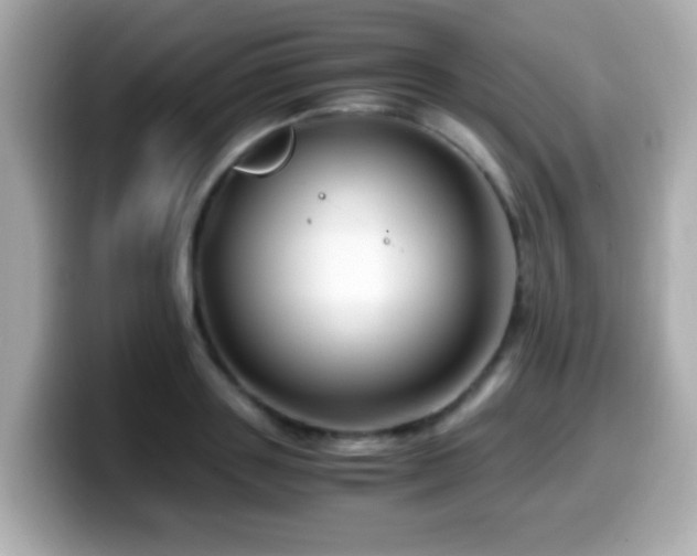 X0000099990843200805231451