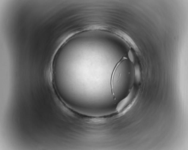 X0000099990844200805231451